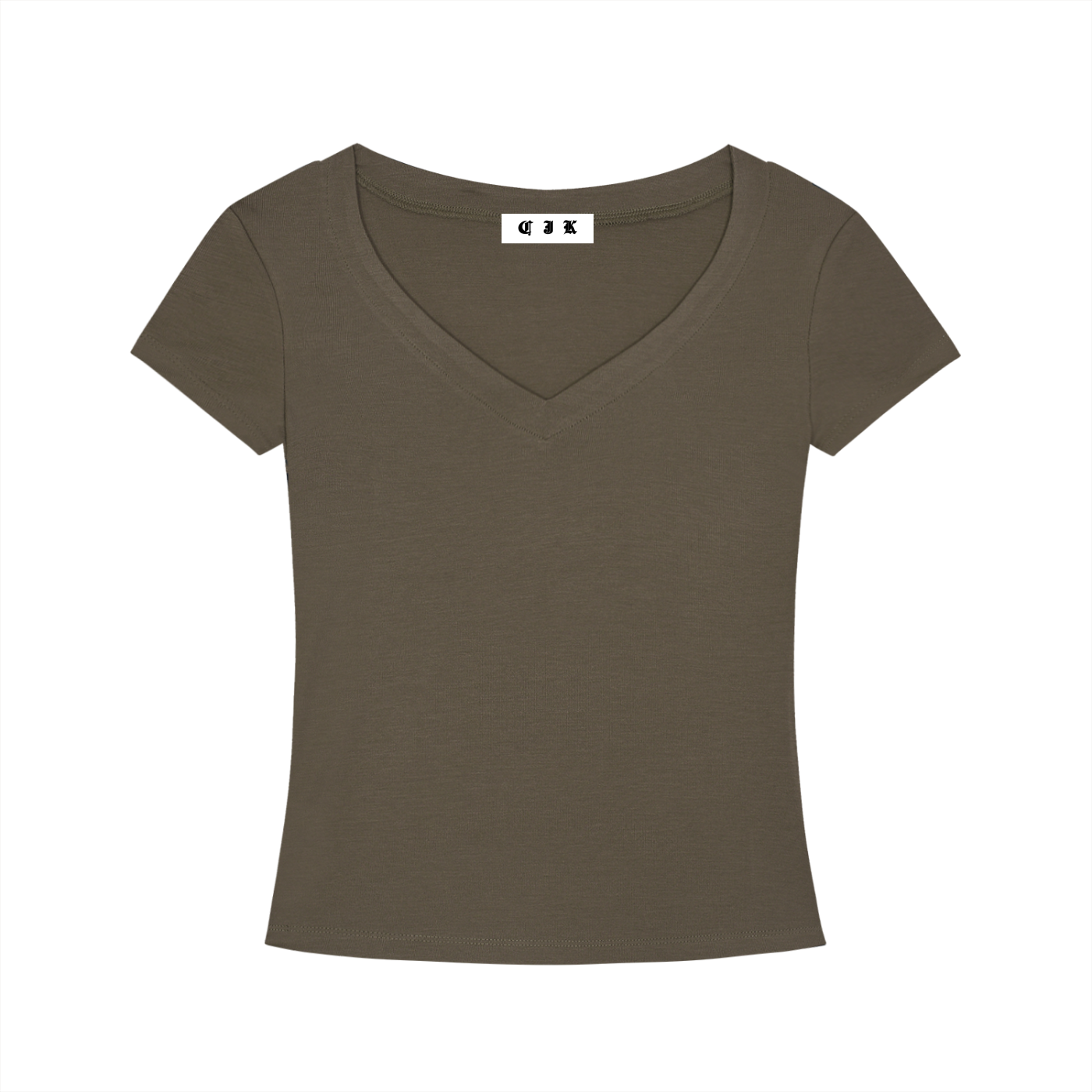 Slim Fit V-Neck T-Shirt