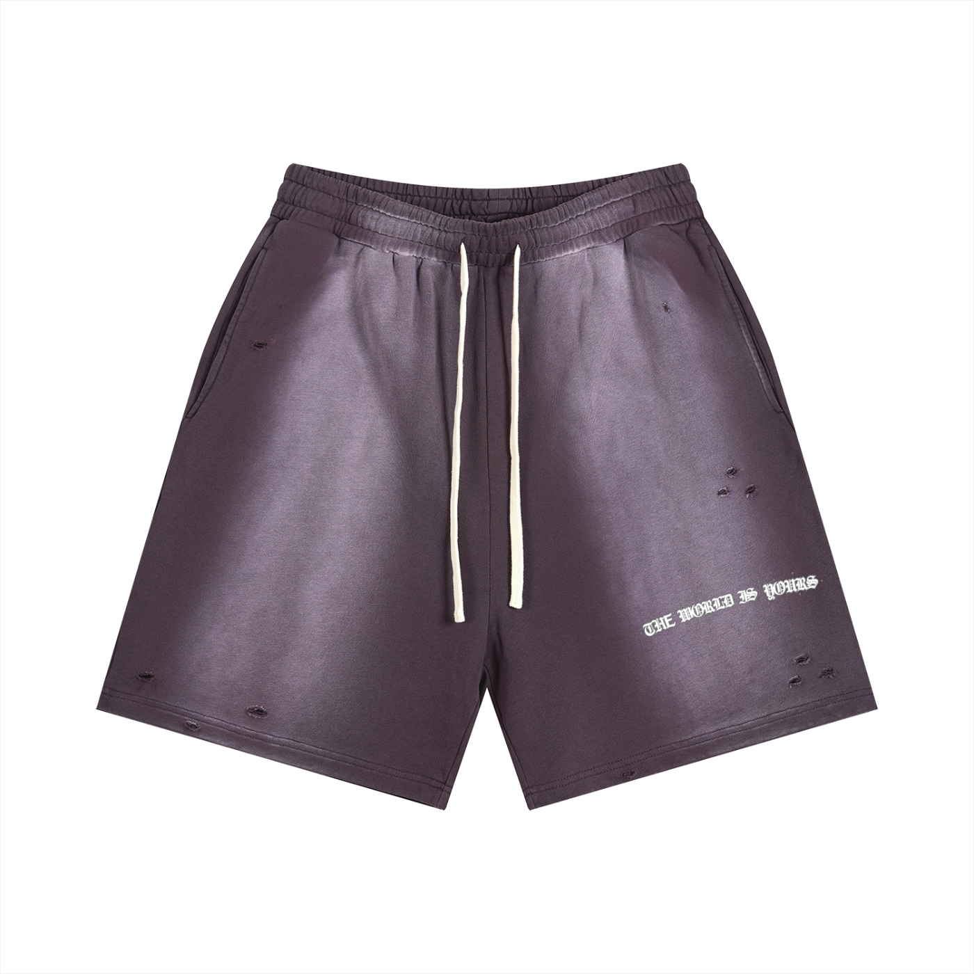 The World Is Yours Distressed Shorts